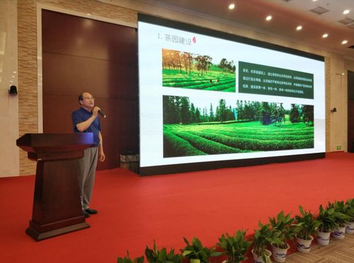 江茶集團(tuán)以茶為媒盛裝亮相 南昌茶博會